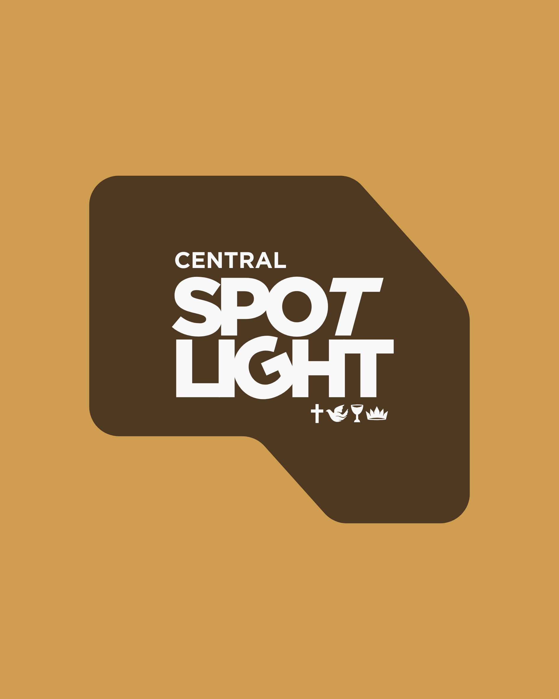 Brand Identity & Logo Design