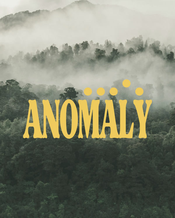 ANOMALY: Winter Camp • Project
